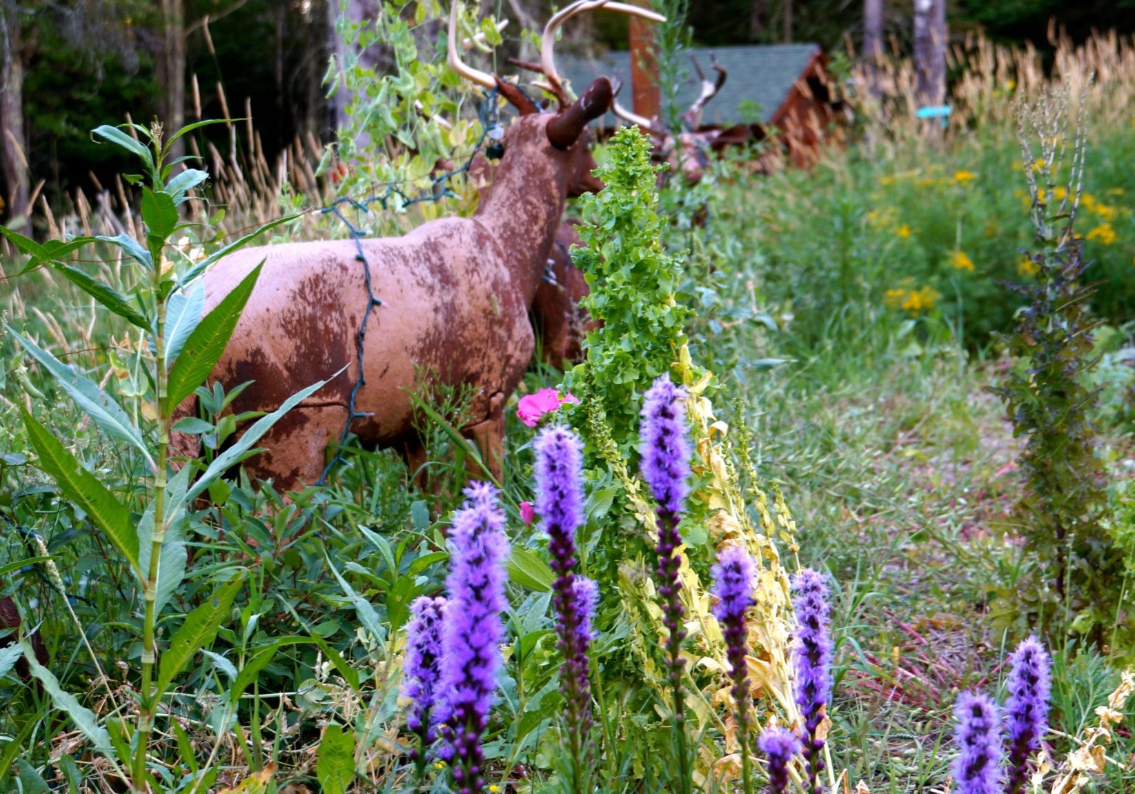 Permaculture-year-2260